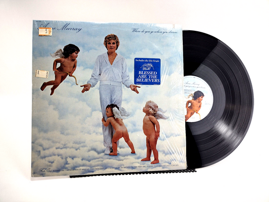 Anne Murray - Where Do You Go When You Dream LP - Cleaned w/ Vinyl Vac!